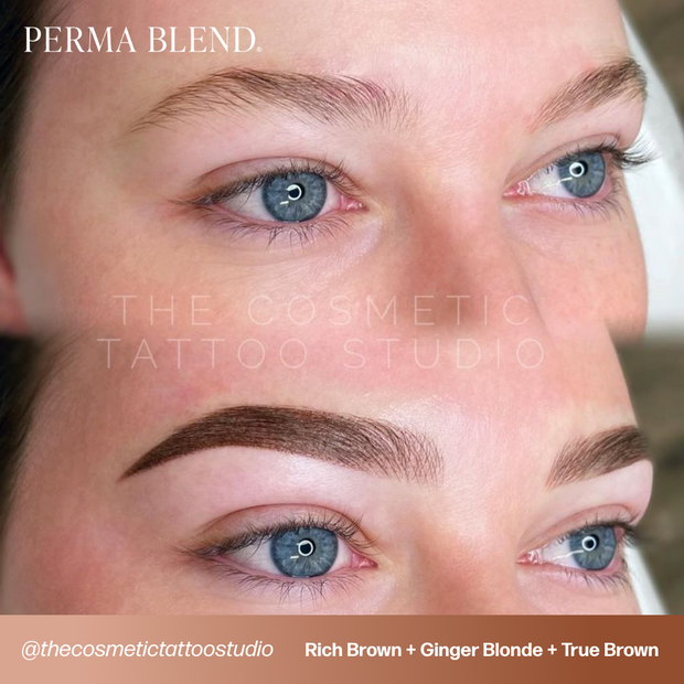 Perma Blend Ginger Blonde Sun Kissed Pallette Pigment