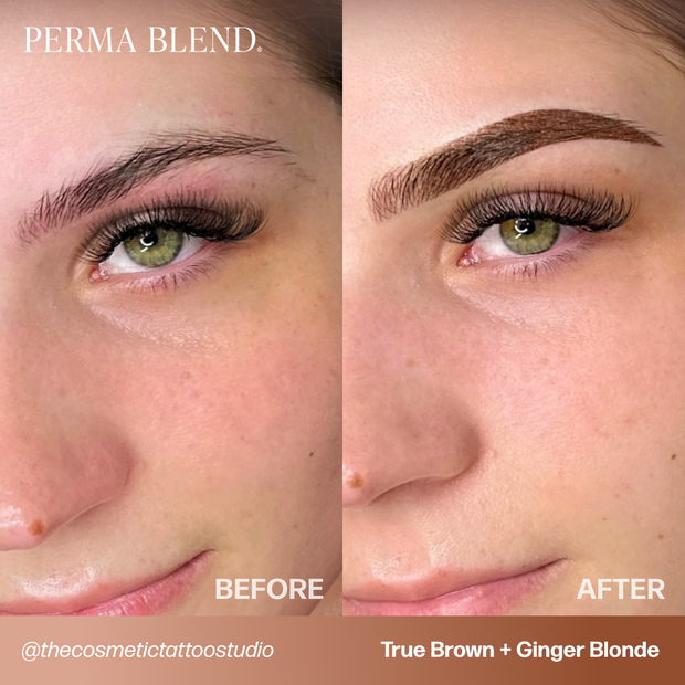 Perma Blend True Brown Sun Kissed Pallette Pigment