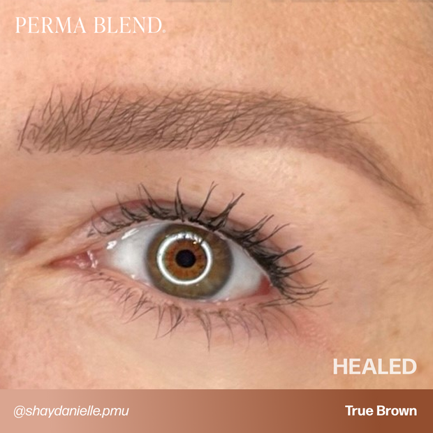 Perma Blend True Brown Sun Kissed Pallette Pigment