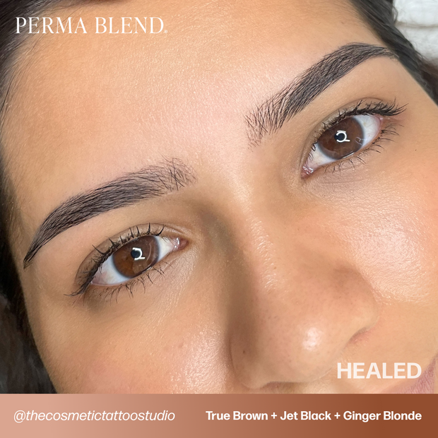 Perma Blend True Brown Sun Kissed Pallette Pigment