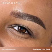 Perma Blend True Brown Sun Kissed Pallette Pigment