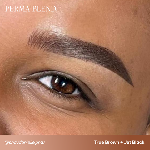 Perma Blend Jet Black Sun Kissed Pallette Pigment