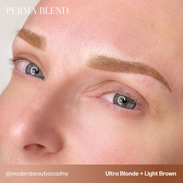 Perma Blend Ultra Blonde Sun Kissed Pallette Pigment