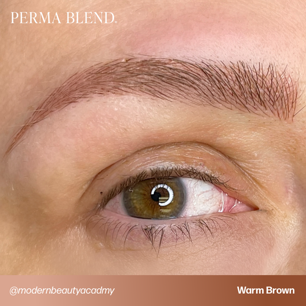 Perma Blend Warm Brown Sun Kissed Pallette Pigment